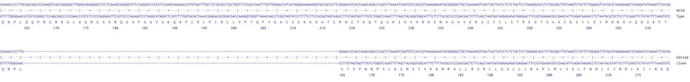 Next Generation Sequencing - Human IGF2BP3 knockout HCT116 cell line (AB289247)