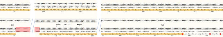 Sanger Sequencing - Human IGF2BP3 knockout HCT116 cell line (AB289247)