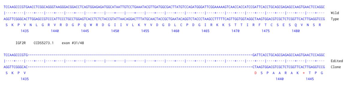 Next Generation Sequencing - Human IGF2R knockout HCT116 cell line (AB300994)