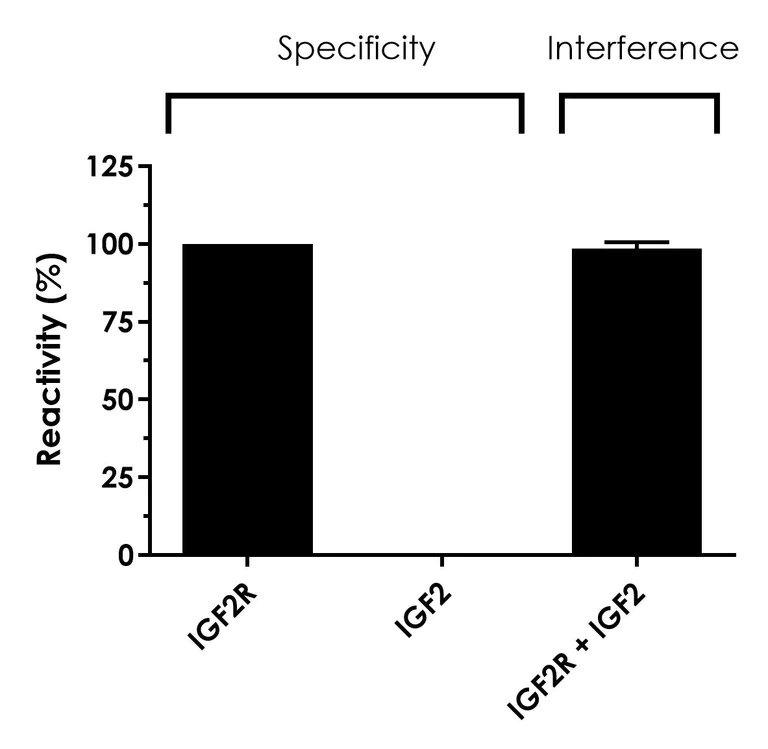 Sandwich ELISA - Human IGF2R (M6PR) ELISA Kit (AB324327)