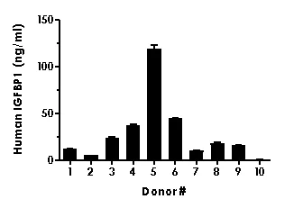 Sandwich ELISA - Human IGFBP1 ELISA Kit (AB233618)