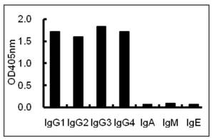 ELISA - Anti-Human IgG antibody [KT131] (AB211339)