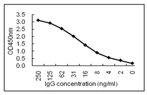 Sandwich ELISA - Anti-Human IgG antibody [KT131] (AB211339)