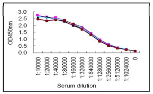 Sandwich ELISA - Anti-Human IgG antibody [KT131] (AB211339)