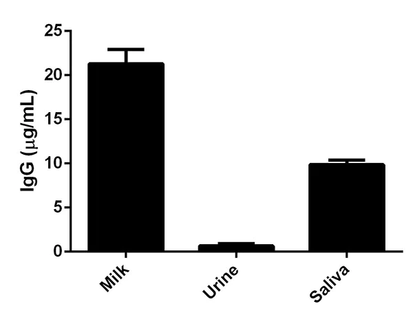 Sandwich ELISA - Human IgG ELISA Kit (AB195215)
