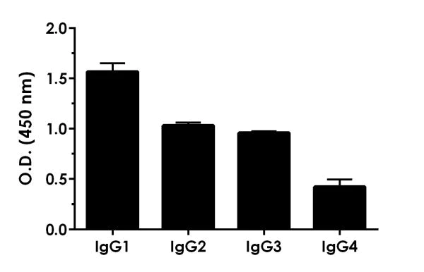 Sandwich ELISA - Human IgG ELISA Kit, Fluorescent (AB229390)
