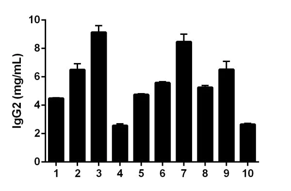 Sandwich ELISA - Human IgG2 ELISA Kit (AB202402)