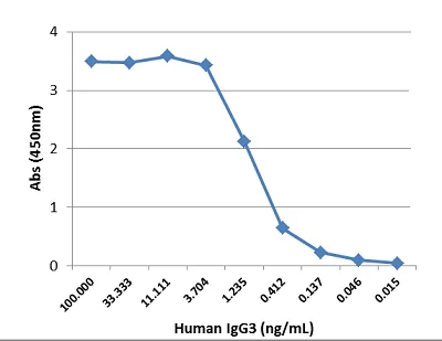 Sandwich ELISA - Anti-Human IgG3 antibody [RM119] (AB193172)