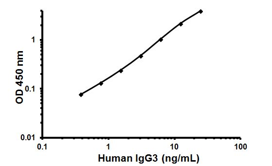 Sandwich ELISA - Human IgG3 ELISA Kit (AB137981), expandable thumbnail