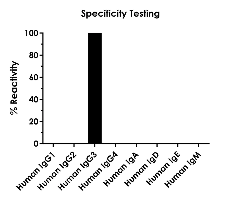 Sandwich ELISA - Human IgG3 ELISA Kit (AB318929)