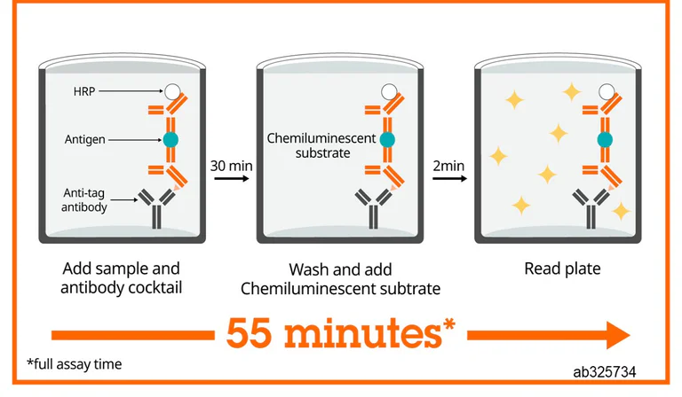 Sandwich ELISA - Human IgG3 ELISA Kit, Chemiluminescent (AB325734)