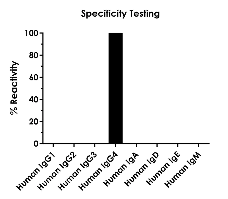 Sandwich ELISA - Human IgG4 ELISA Kit (AB320788)