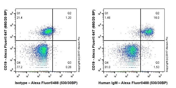 Flow Cytometry - Anti-Human IgM antibody [EPR20731] - BSA and Azide free (AB228524), expandable thumbnail