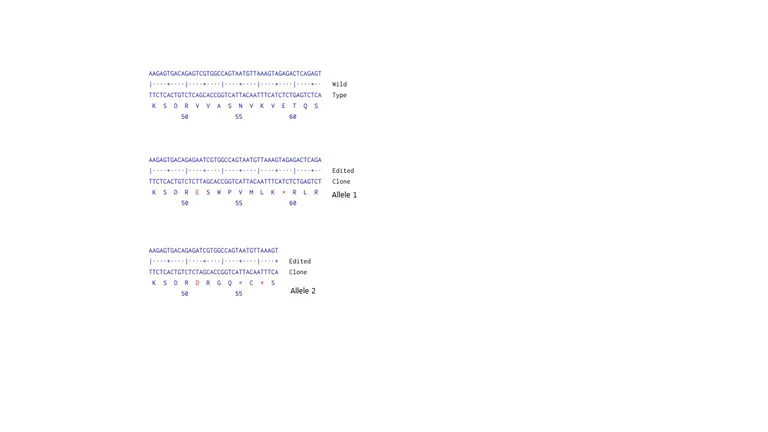Next Generation Sequencing - Human IKZF1 knockout Jurkat cell line (AB274920)