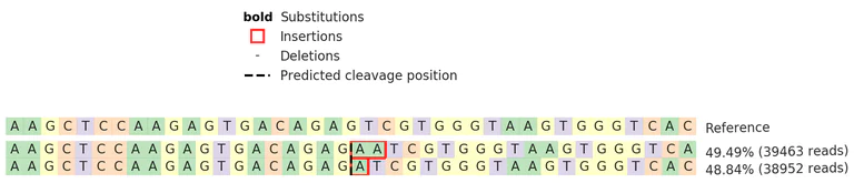Next Generation Sequencing - Human IKZF1 knockout Jurkat cell lysate (AB274978)