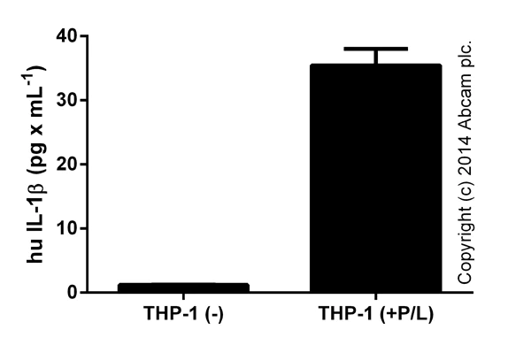 ELISA - Human IL-1 beta ELISA Kit (AB46052)