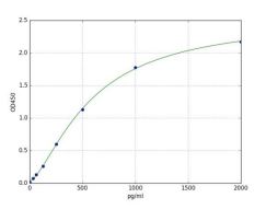 Sandwich ELISA - Human IL-11 ELISA Kit (AB285297), expandable thumbnail