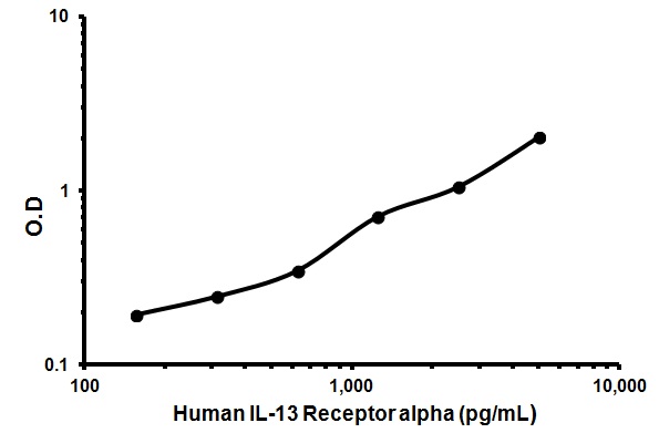 Sandwich ELISA - Human IL-13 Receptor alpha ELISA Kit (AB46066), expandable thumbnail