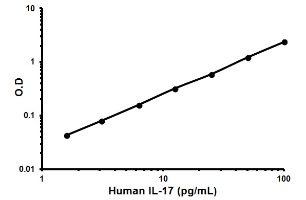 Sandwich ELISA - Human IL-17 ELISA Kit (AB119535), expandable thumbnail