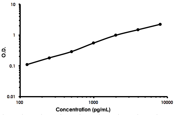Sandwich ELISA - Human IL-17C ELISA Kit (AB213792)