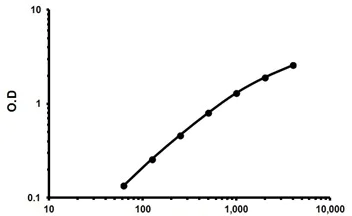 Sandwich ELISA - Human IL-20 ELISA Kit (AB171344)