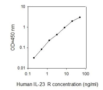 Sandwich ELISA - Human IL-23R ELISA Kit (AB267657)