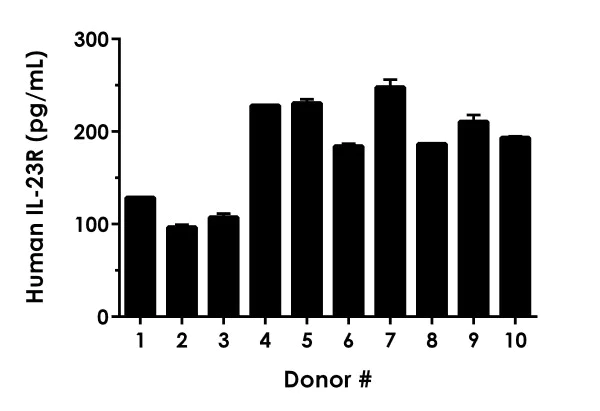 Sandwich ELISA - Human IL-23R ELISA Kit (AB277716)