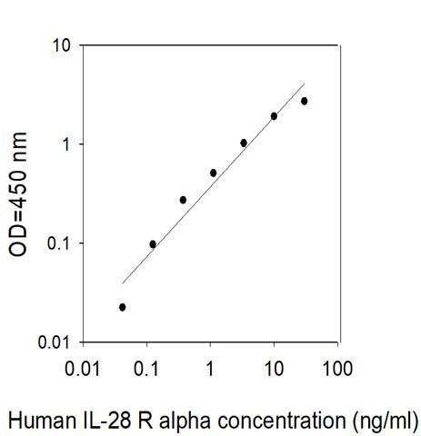 Sandwich ELISA - Human IL-28 RA ELISA Kit (AB313976)