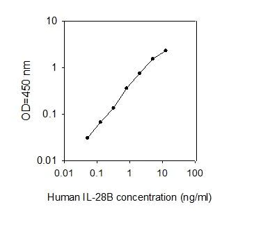 ELISA - Human IL-28B ELISA Kit (AB277438)