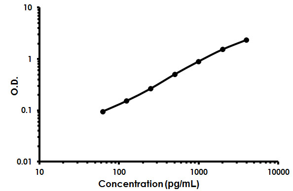 Sandwich ELISA - Human IL-34 ELISA Kit (AB213797), expandable thumbnail