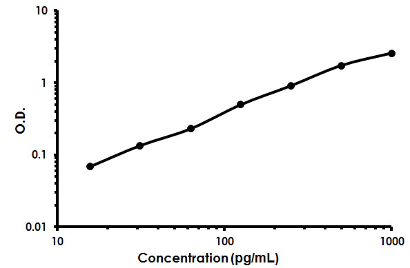Sandwich ELISA - Human IL-37 ELISA Kit (AB213798)