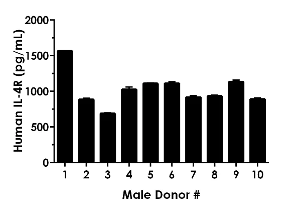 Sandwich ELISA - Human IL-4R ELISA Kit (AB243668)