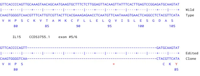 Next Generation Sequencing - Human IL15 knockout A549 cell line (AB289014)