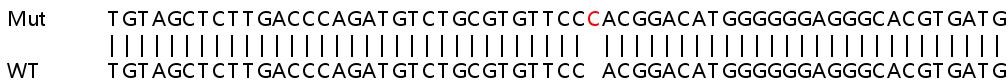 Sanger Sequencing - Human IL15RA knockout A549 cell lysate (AB257479), expandable thumbnail