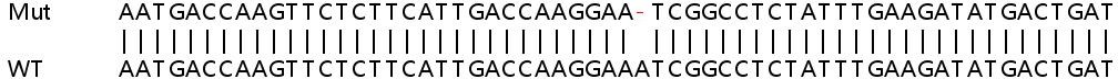 Sanger Sequencing - Human IL18 knockout HeLa cell lysate (AB256952), expandable thumbnail
