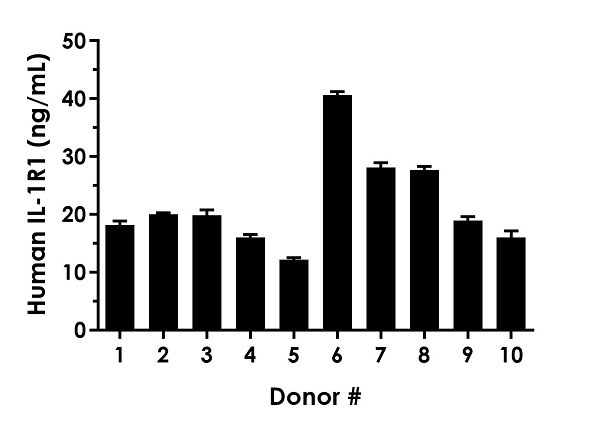Sandwich ELISA - Human IL1R1 ELISA Kit (AB260072)