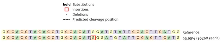 Next Generation Sequencing - Human IL21R knockout Raji cell line (AB275824)
