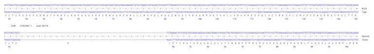 Next Generation Sequencing - Human IL6R knockout A549 cell line (AB287549)