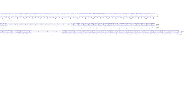 Next Generation Sequencing - Human IL6R knockout HCT116 cell line (AB287551)
