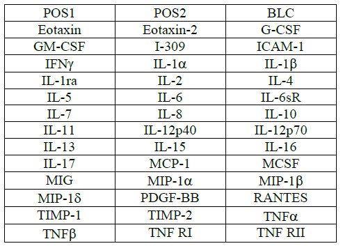 Multiplex Protein Detection - Human Inflammation Antibody Array (40 Targets) - Quantitative (AB197451), expandable thumbnail