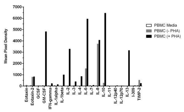 Multiplex Protein Detection - Human Inflammation Antibody Array - Membrane (20 targets) (AB169804), expandable thumbnail
