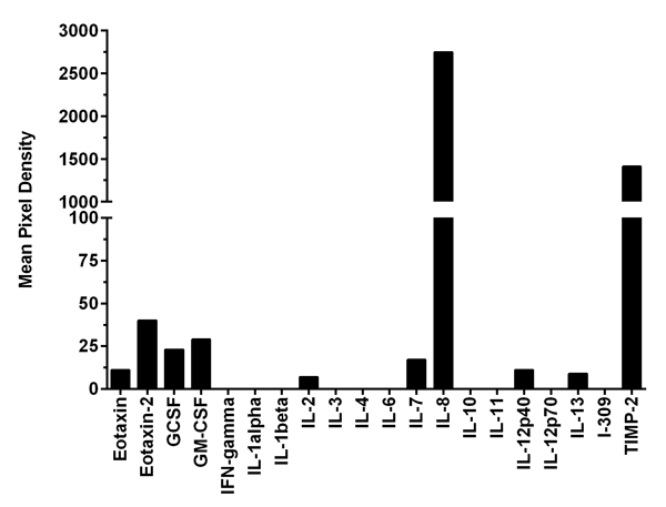 Multiplex Protein Detection - Human Inflammation Antibody Array - Membrane (20 targets) (AB169804), expandable thumbnail
