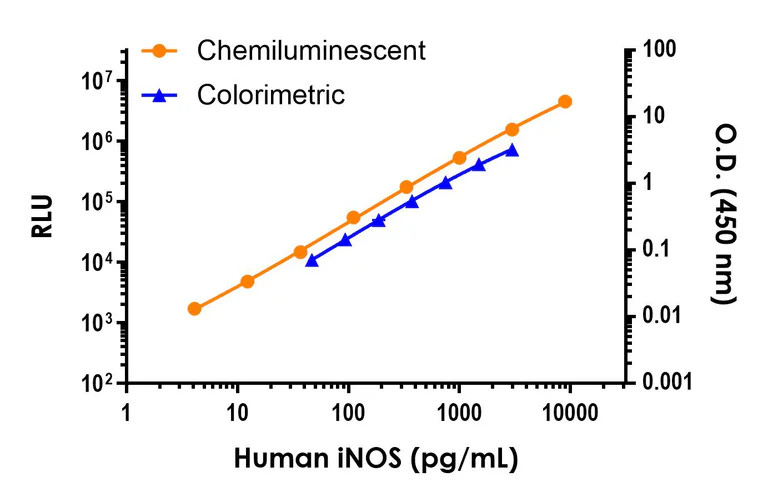 Sandwich ELISA - Human iNOS ELISA Kit, Chemiluminescent (AB326909)