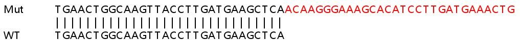 Sanger Sequencing - Human INPP5K (SKIP) knockout HeLa cell line (AB265311), expandable thumbnail