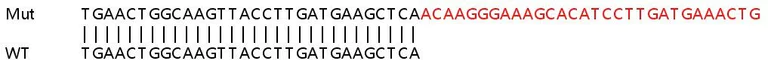 Sanger Sequencing - Human INPP5K (SKIP) knockout HeLa cell lysate (AB258470)
