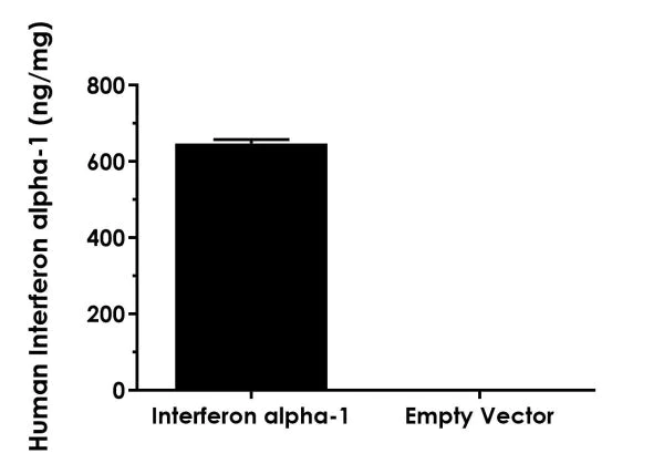 Sandwich ELISA - Human Interferon alpha 1 ELISA Kit, Fluorescent (AB229432)