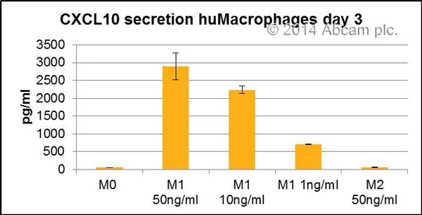 Sandwich ELISA - Human IP-10 ELISA Kit, Chemiluminescent (AB325908)