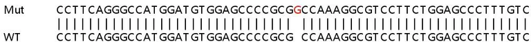 Sanger Sequencing - Human IP6K2 knockout HeLa cell line (AB265192)