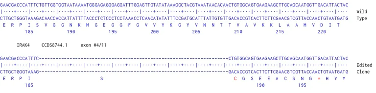 Next Generation Sequencing - Human IRAK4 knockout MCF7 cell line (AB287556)