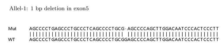 Sanger Sequencing - Human IRF3 knockout HeLa cell lysate (AB263784)
